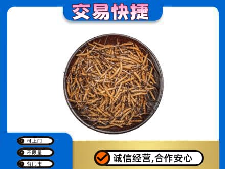 六安霍山县礼品回收虫草.jpg